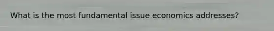 What is the most fundamental issue economics addresses?