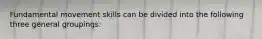 Fundamental movement skills can be divided into the following three general groupings: