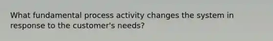 What fundamental process activity changes the system in response to the customer's needs?