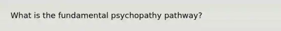 What is the fundamental psychopathy pathway?