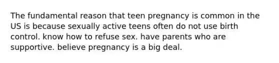 The fundamental reason that teen pregnancy is common in the US is because sexually active teens often do not use birth control. know how to refuse sex. have parents who are supportive. believe pregnancy is a big deal.