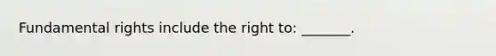 Fundamental rights include the right to: _______.