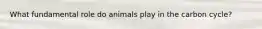 What fundamental role do animals play in the carbon cycle?