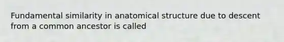 Fundamental similarity in anatomical structure due to descent from a common ancestor is called