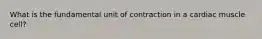 What is the fundamental unit of contraction in a cardiac muscle cell?