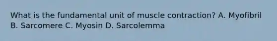 What is the fundamental unit of muscle contraction? A. Myofibril B. Sarcomere C. Myosin D. Sarcolemma