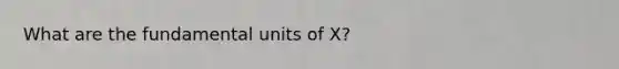 What are the fundamental units of X?