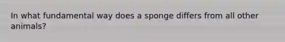 In what fundamental way does a sponge differs from all other animals?