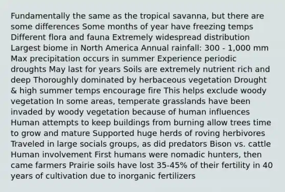 Fundamentally the same as the tropical savanna, but there are some differences Some months of year have freezing temps Different flora and fauna Extremely widespread distribution Largest biome in North America Annual rainfall: 300 - 1,000 mm Max precipitation occurs in summer Experience periodic droughts May last for years Soils are extremely nutrient rich and deep Thoroughly dominated by herbaceous vegetation Drought & high summer temps encourage fire This helps exclude woody vegetation In some areas, temperate grasslands have been invaded by woody vegetation because of human influences Human attempts to keep buildings from burning allow trees time to grow and mature Supported huge herds of roving herbivores Traveled in large socials groups, as did predators Bison vs. cattle Human involvement First humans were nomadic hunters, then came farmers Prairie soils have lost 35-45% of their fertility in 40 years of cultivation due to inorganic fertilizers