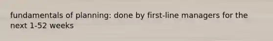 fundamentals of planning: done by first-line managers for the next 1-52 weeks