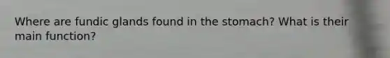 Where are fundic glands found in the stomach? What is their main function?