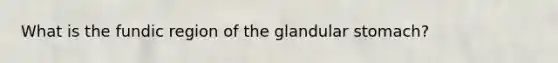 What is the fundic region of the glandular stomach?