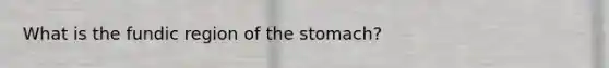 What is the fundic region of the stomach?