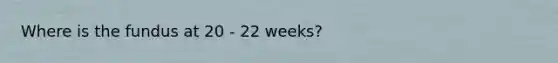 Where is the fundus at 20 - 22 weeks?