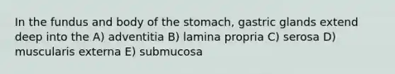 In the fundus and body of the stomach, gastric glands extend deep into the A) adventitia B) lamina propria C) serosa D) muscularis externa E) submucosa