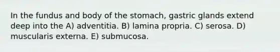 In the fundus and body of <a href='https://www.questionai.com/knowledge/kLccSGjkt8-the-stomach' class='anchor-knowledge'>the stomach</a>, gastric glands extend deep into the A) adventitia. B) lamina propria. C) serosa. D) muscularis externa. E) submucosa.