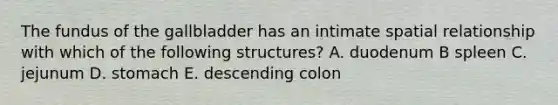 The fundus of the gallbladder has an intimate spatial relationship with which of the following structures? A. duodenum B spleen C. jejunum D. stomach E. descending colon