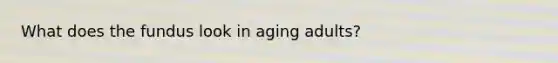 What does the fundus look in aging adults?