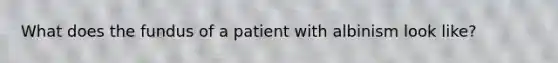 What does the fundus of a patient with albinism look like?