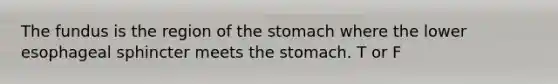 The fundus is the region of the stomach where the lower esophageal sphincter meets the stomach. T or F