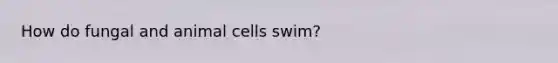 How do fungal and animal cells swim?