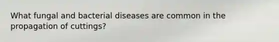 What fungal and bacterial diseases are common in the propagation of cuttings?