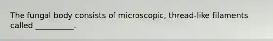 The fungal body consists of microscopic, thread-like filaments called __________.