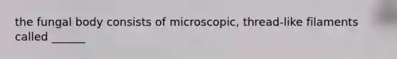 the fungal body consists of microscopic, thread-like filaments called ______