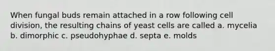 When fungal buds remain attached in a row following cell division, the resulting chains of yeast cells are called a. mycelia b. dimorphic c. pseudohyphae d. septa e. molds