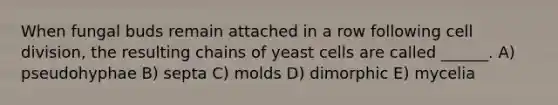 When fungal buds remain attached in a row following cell division, the resulting chains of yeast cells are called ______. A) pseudohyphae B) septa C) molds D) dimorphic E) mycelia