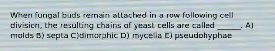 When fungal buds remain attached in a row following <a href='https://www.questionai.com/knowledge/kjHVAH8Me4-cell-division' class='anchor-knowledge'>cell division</a>, the resulting chains of yeast cells are called ______. A) molds B) septa C)dimorphic D) mycelia E) pseudohyphae