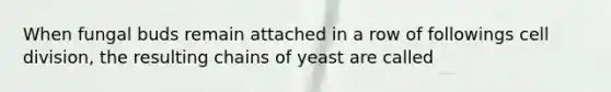 When fungal buds remain attached in a row of followings cell division, the resulting chains of yeast are called