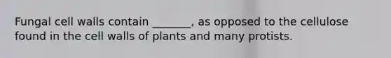 Fungal cell walls contain _______, as opposed to the cellulose found in the cell walls of plants and many protists.