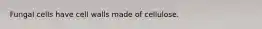 Fungal cells have cell walls made of cellulose.