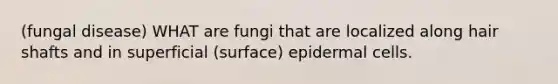 (fungal disease) WHAT are fungi that are localized along hair shafts and in superficial (surface) epidermal cells.