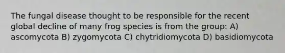 The fungal disease thought to be responsible for the recent global decline of many frog species is from the group: A) ascomycota B) zygomycota C) chytridiomycota D) basidiomycota