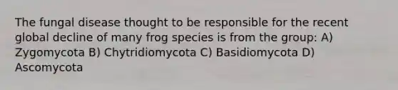 The <a href='https://www.questionai.com/knowledge/kYrZc0yJDB-fungal-disease' class='anchor-knowledge'>fungal disease</a> thought to be responsible for the recent global decline of many frog species is from the group: A) Zygomycota B) Chytridiomycota C) Basidiomycota D) Ascomycota