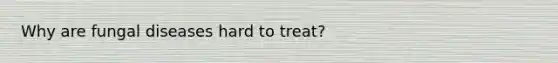 Why are fungal diseases hard to treat?