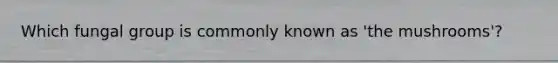 Which fungal group is commonly known as 'the mushrooms'?