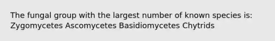 The fungal group with the largest number of known species is: Zygomycetes Ascomycetes Basidiomycetes Chytrids