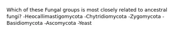 Which of these Fungal groups is most closely related to ancestral fungi? -Heocallimastigomycota -Chytridiomycota -Zygomycota -Basidiomycota -Ascomycota -Yeast