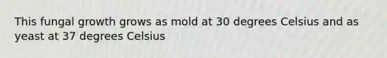 This fungal growth grows as mold at 30 degrees Celsius and as yeast at 37 degrees Celsius