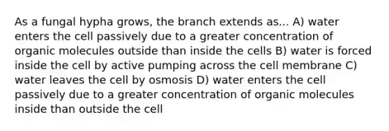 As a fungal hypha grows, the branch extends as... A) water enters the cell passively due to a greater concentration of organic molecules outside than inside the cells B) water is forced inside the cell by active pumping across the cell membrane C) water leaves the cell by osmosis D) water enters the cell passively due to a greater concentration of organic molecules inside than outside the cell