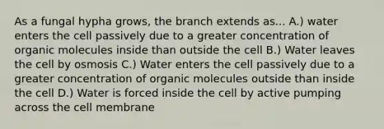 As a fungal hypha grows, the branch extends as... A.) water enters the cell passively due to a greater concentration of organic molecules inside than outside the cell B.) Water leaves the cell by osmosis C.) Water enters the cell passively due to a greater concentration of organic molecules outside than inside the cell D.) Water is forced inside the cell by active pumping across the cell membrane