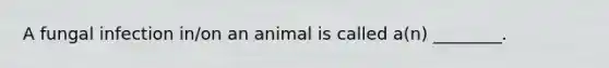 A fungal infection in/on an animal is called a(n) ________.