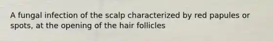 A fungal infection of the scalp characterized by red papules or spots, at the opening of the hair follicles