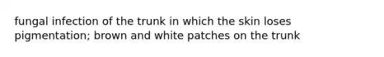 fungal infection of the trunk in which the skin loses pigmentation; brown and white patches on the trunk