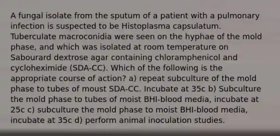 A fungal isolate from the sputum of a patient with a pulmonary infection is suspected to be Histoplasma capsulatum. Tuberculate macroconidia were seen on the hyphae of the mold phase, and which was isolated at room temperature on Sabourard dextrose agar containing chloramphenicol and cycloheximide (SDA-CC). Which of the following is the appropriate course of action? a) repeat subculture of the mold phase to tubes of moust SDA-CC. Incubate at 35c b) Subculture the mold phase to tubes of moist BHI-blood media, incubate at 25c c) subculture the mold phase to moist BHI-blood media, incubate at 35c d) perform animal inoculation studies.