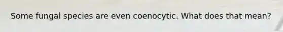 Some fungal species are even coenocytic. What does that mean?