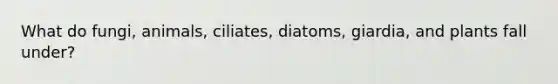 What do fungi, animals, ciliates, diatoms, giardia, and plants fall under?